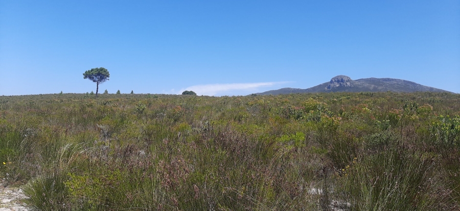 To Let 2 Bedroom Property for Rent in Albertinia Western Cape